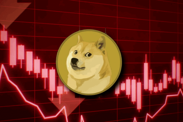 Doge Software Licenses Audit HUD: A Complete Guide