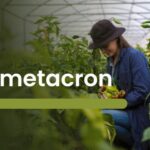 How Betametacron Works: A Guide to Its Uses and Benefits
