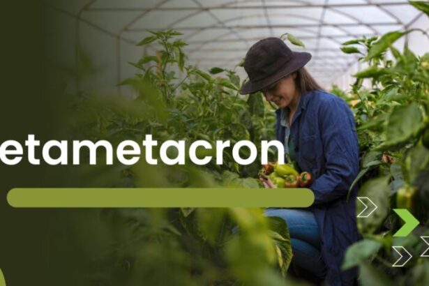 How Betametacron Works: A Guide to Its Uses and Benefits
