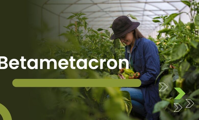How Betametacron Works: A Guide to Its Uses and Benefits