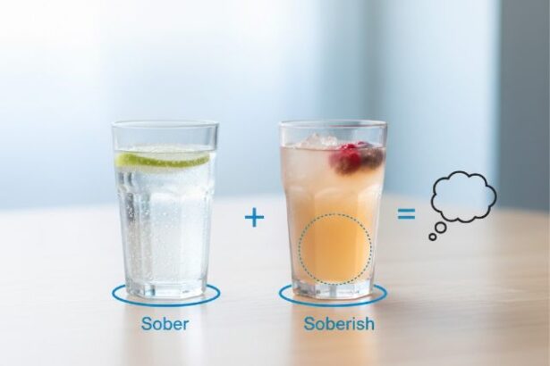 What Is the Soberish Meaning? A Clear, Simple Explanation